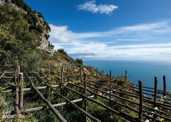 Dipinto Baccofurore Hotel Furore